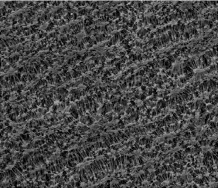 GVS 1214443 PTFESep™, Filtration Membrane, Polytetrafluoroethylene 20cmx20cm 1.0 µm