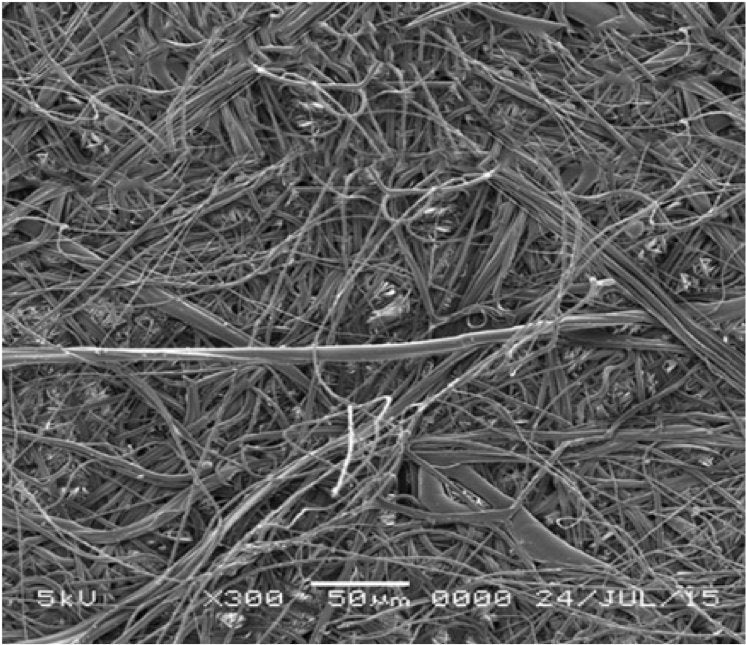 GVS 1214237 PolySep™, Filtration Membrane Polypropylene 47mm 0.1 µm