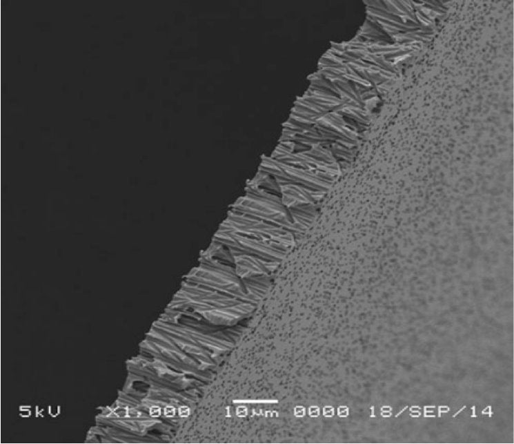 GVS 1215629 Poretics™, Filtration Membrane Polycarbonate Track Etched Hydrophilic 47mm 2.0 µm