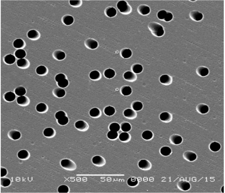 GVS 1222248 Poretics™, Filtration Membrane Polyester Track Etched 142mm 1.0 µm