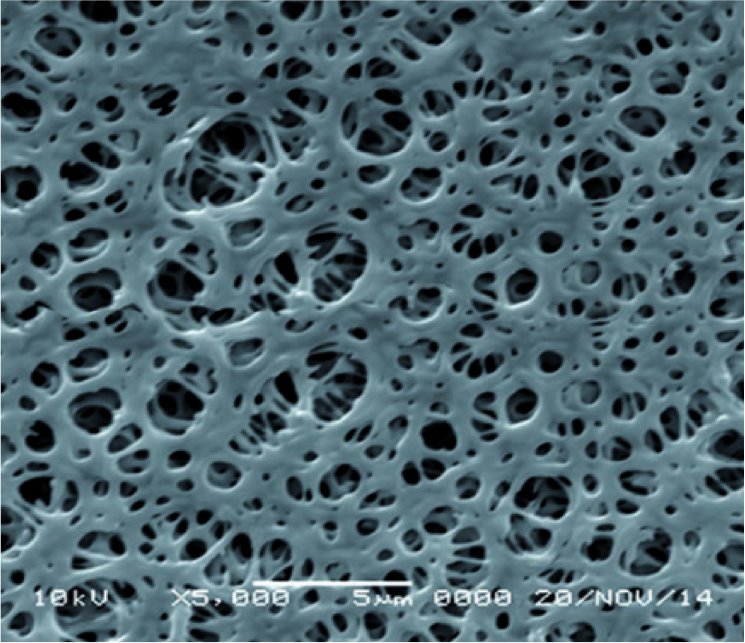 GVS 1225883 UltraSep™, Filtration Membrane, Polyethersulfone 20cmx20cm 0.65 µm