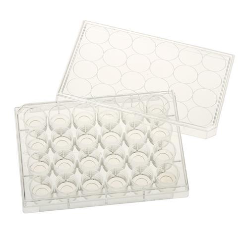Celltreat 229125 24 Well Glass Bottom Tissue Culture Plate, 10mm Glass, Sterile