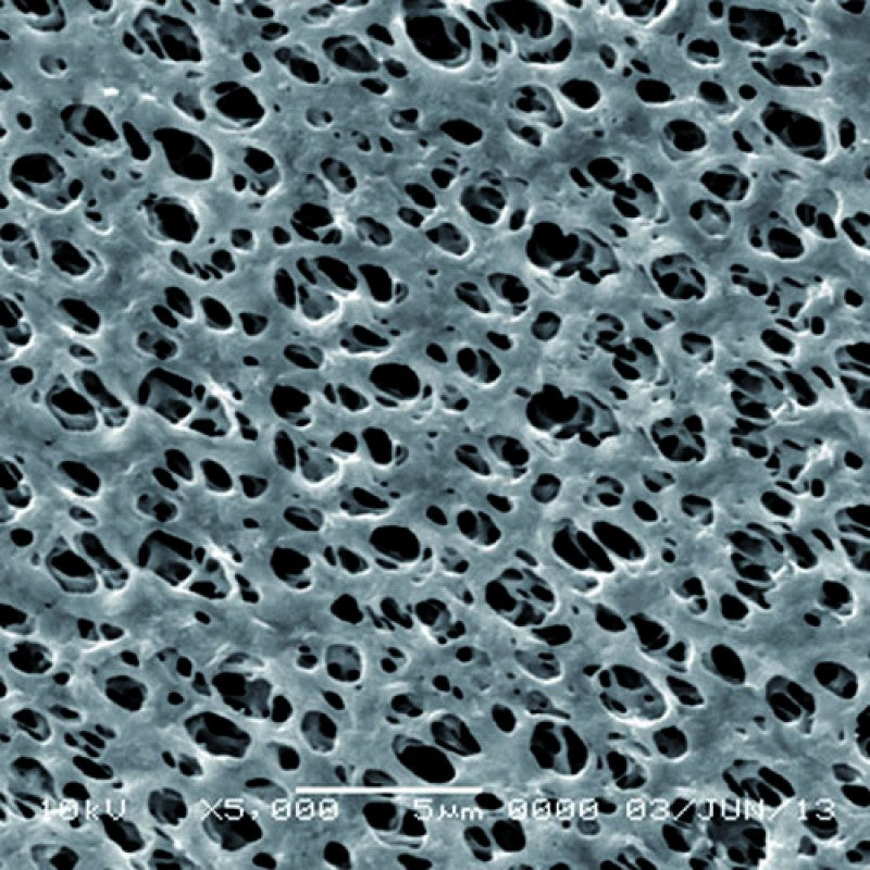 GVS 1213794 Hydrophilic Nylon Filter Membrane 1.2 µm, 13 mm (100/Pack)