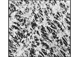 Ahlstrom 776644 Membrane filter MCE plain white non-sterile,47 mm