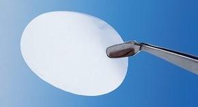 Whatman 10418731 Nuclepore Hydrophilic Membrane, 1.0 µm pore size, 142 mm circle (25 pcs)